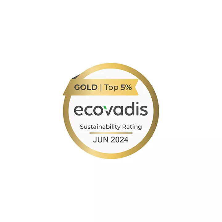 Ecovadis Gold 2024 certification for Medium Size companies